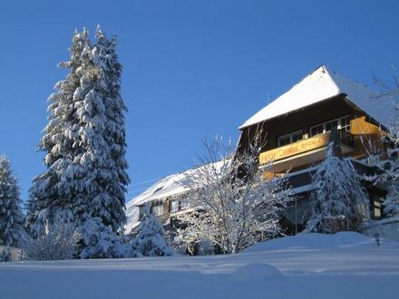 Hotel Peterle Feldberg