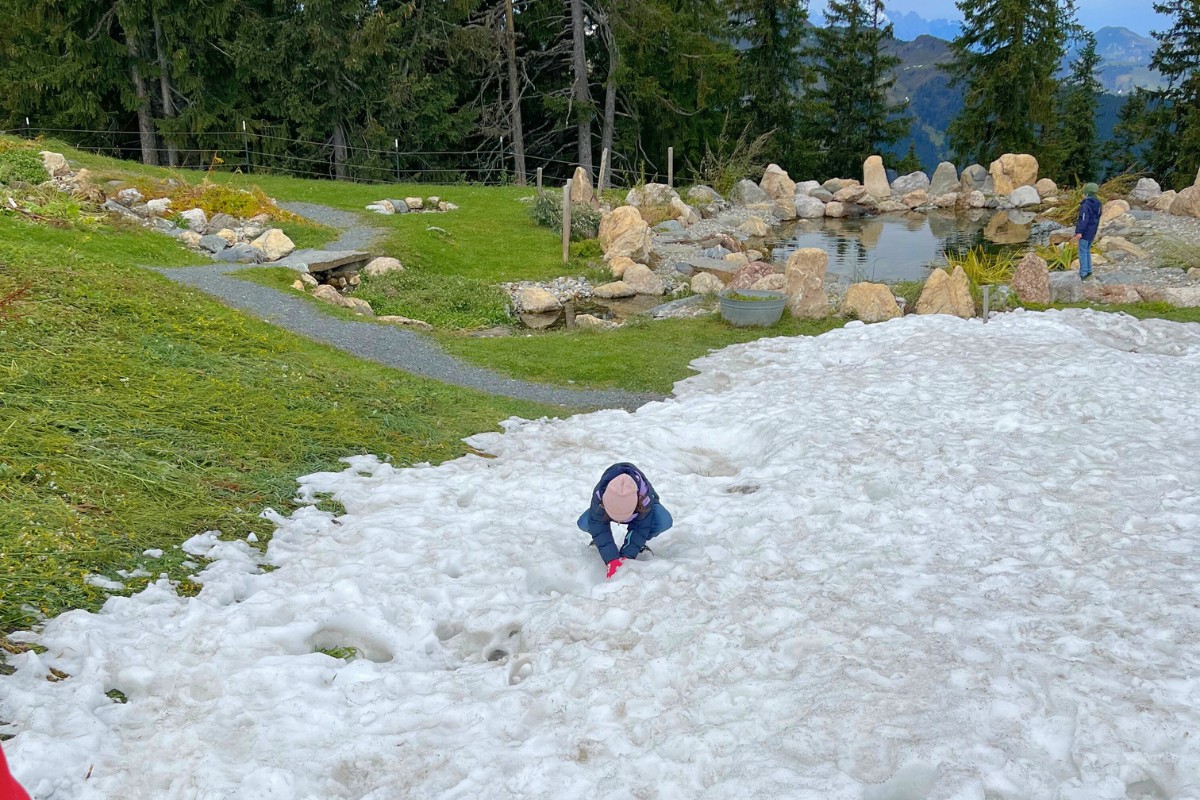 Naturhotel Edelweiss Leogang